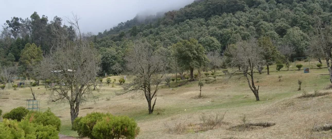 Khirsu Travel Guide: Discover Uttarakhand's Hidden Himalayan Paradise