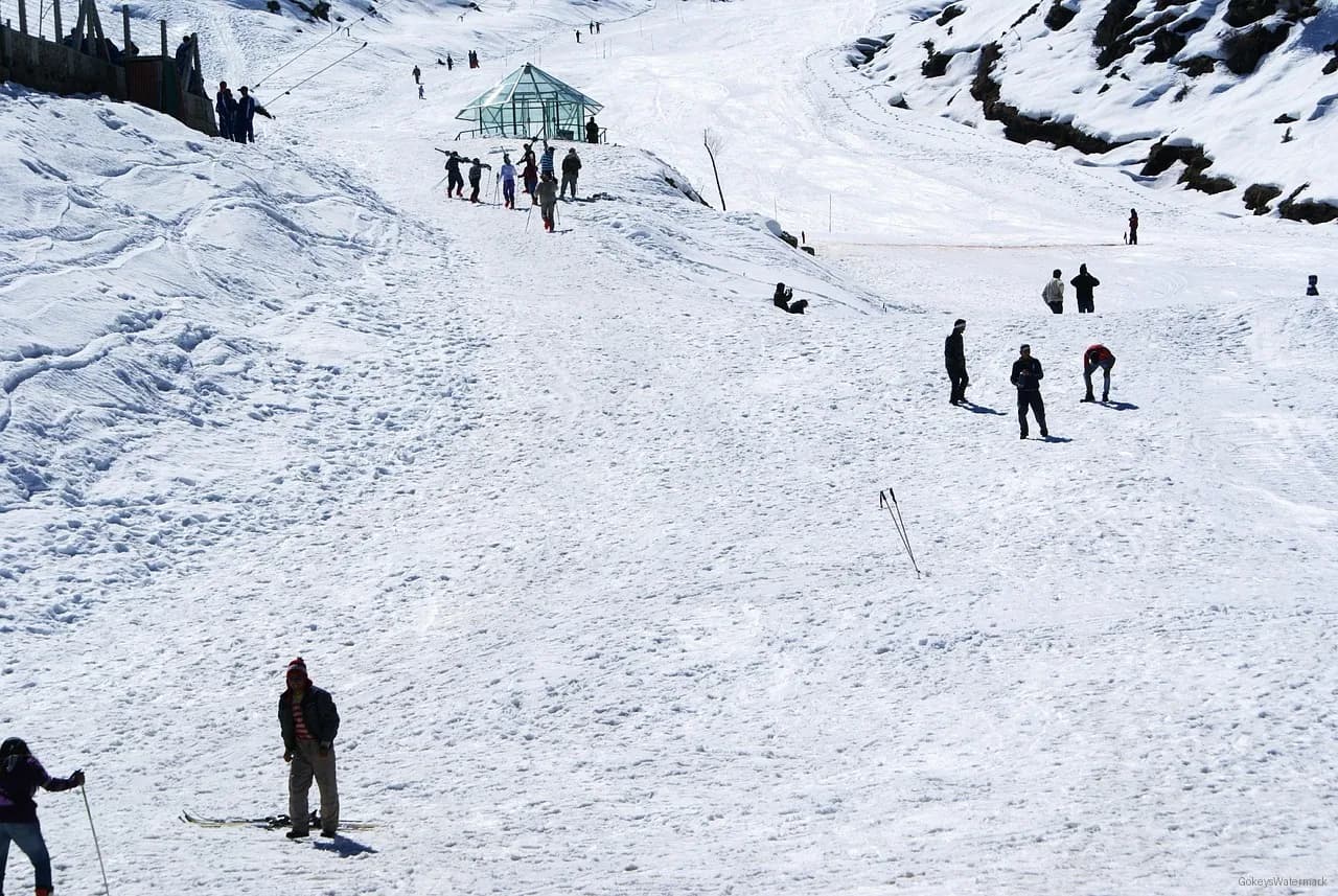 Auli Chopta 6 Days Tour Package from Haridwar