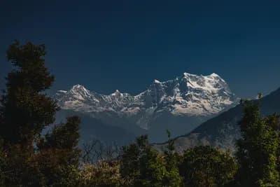 Munsiyari Travel Guide