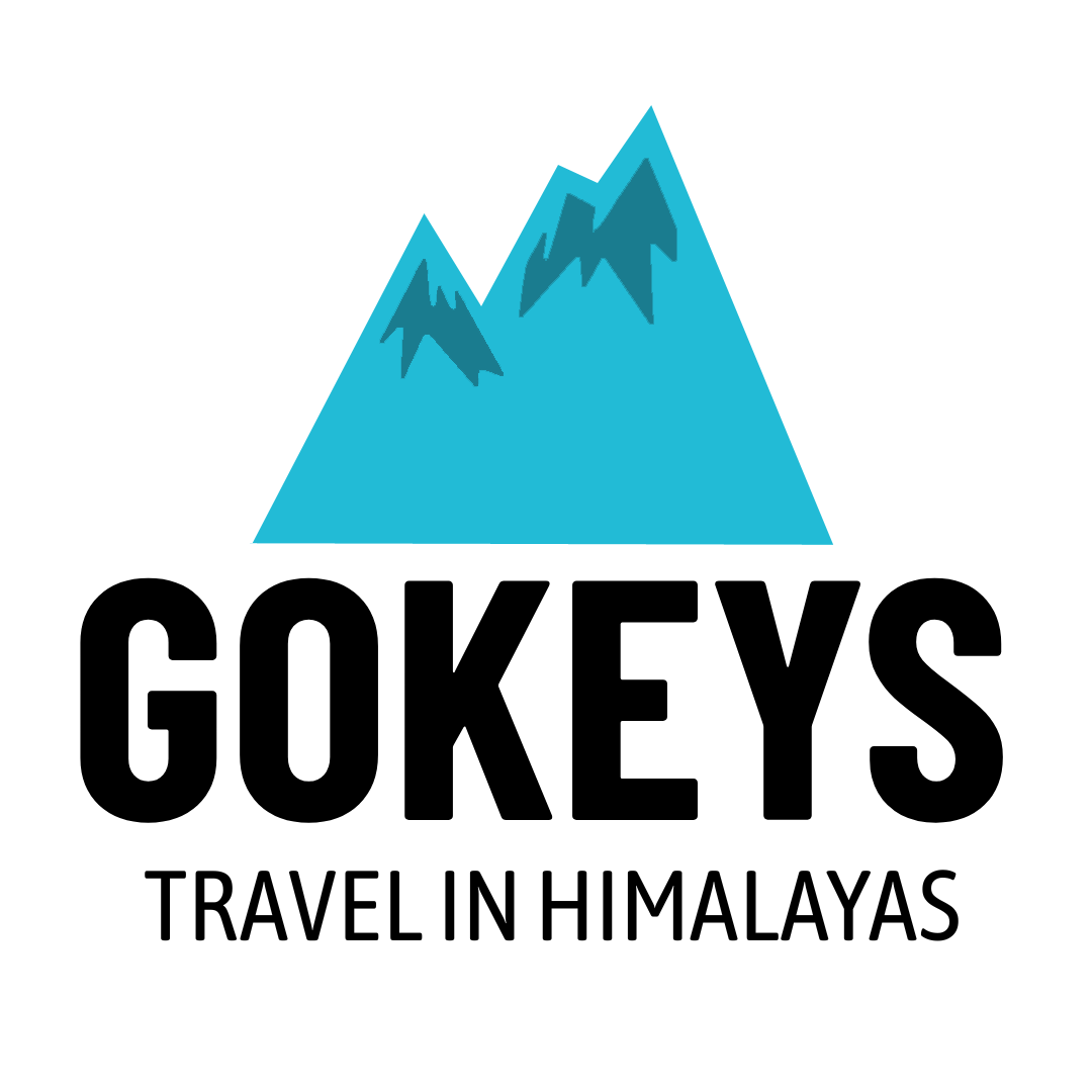 Gokeys India