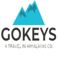 Gokeys Logo