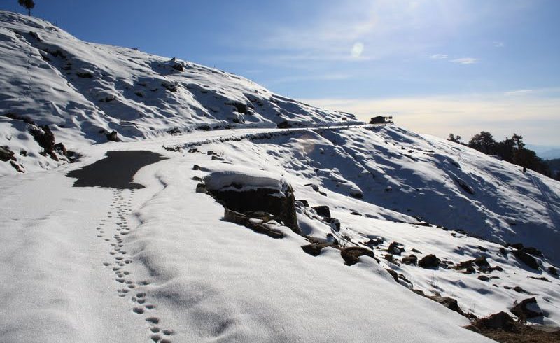 chopta-tour-with-auli-2023