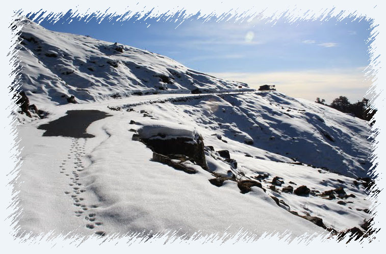 chopta-tour-uttarakhand