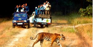 corbett-uttarakhand