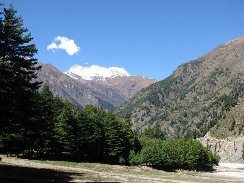 harsil-travel-guide-uttarkashi