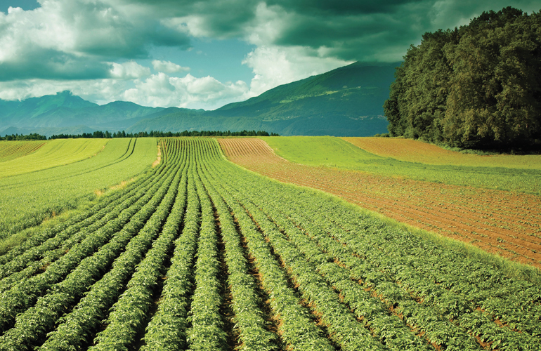 dhanaulti-farms