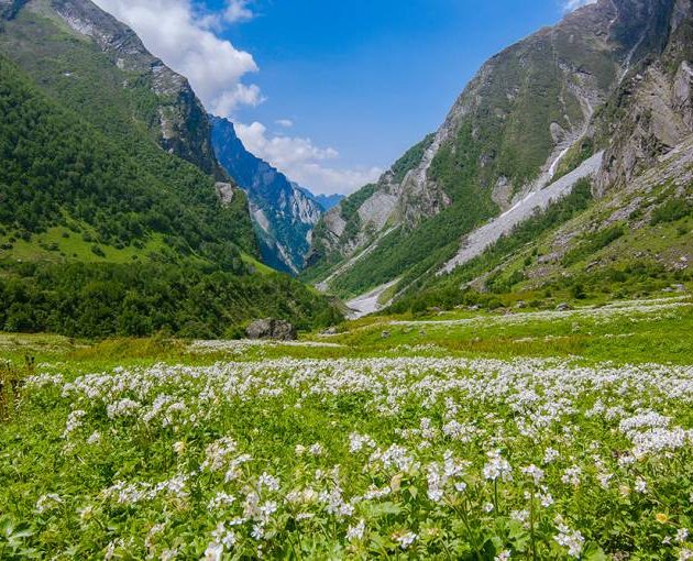 valley-of-flower-national-park