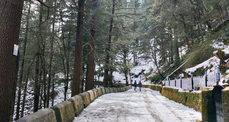 snow-fall-in-lal-tibba