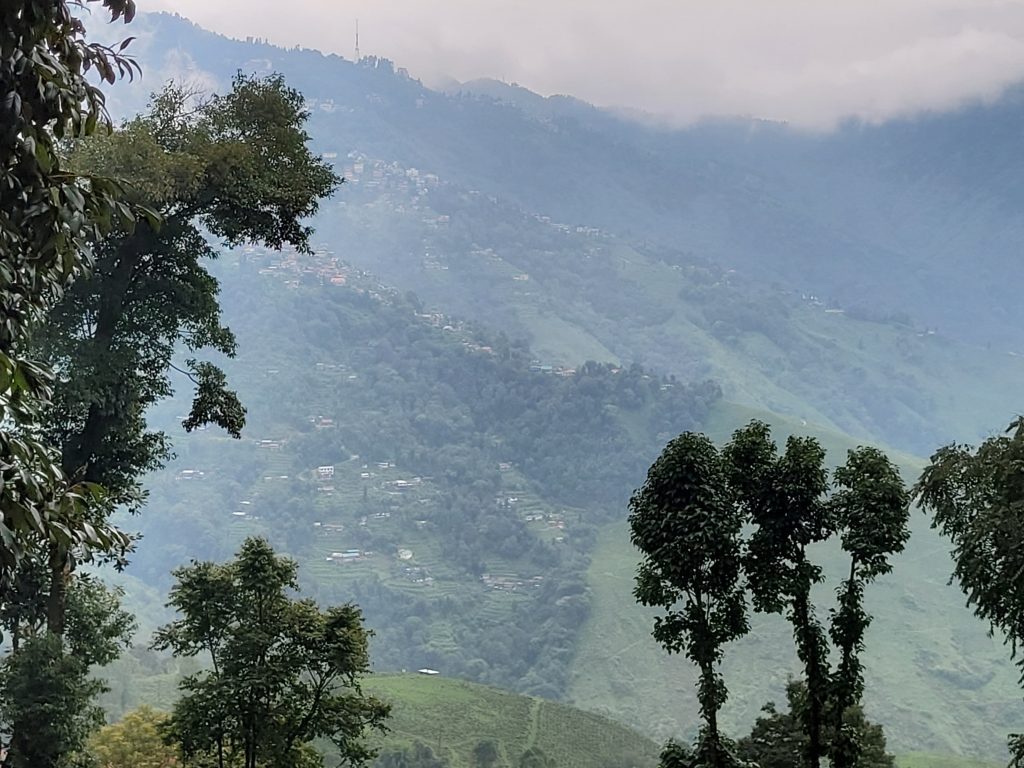 darjeeling-view