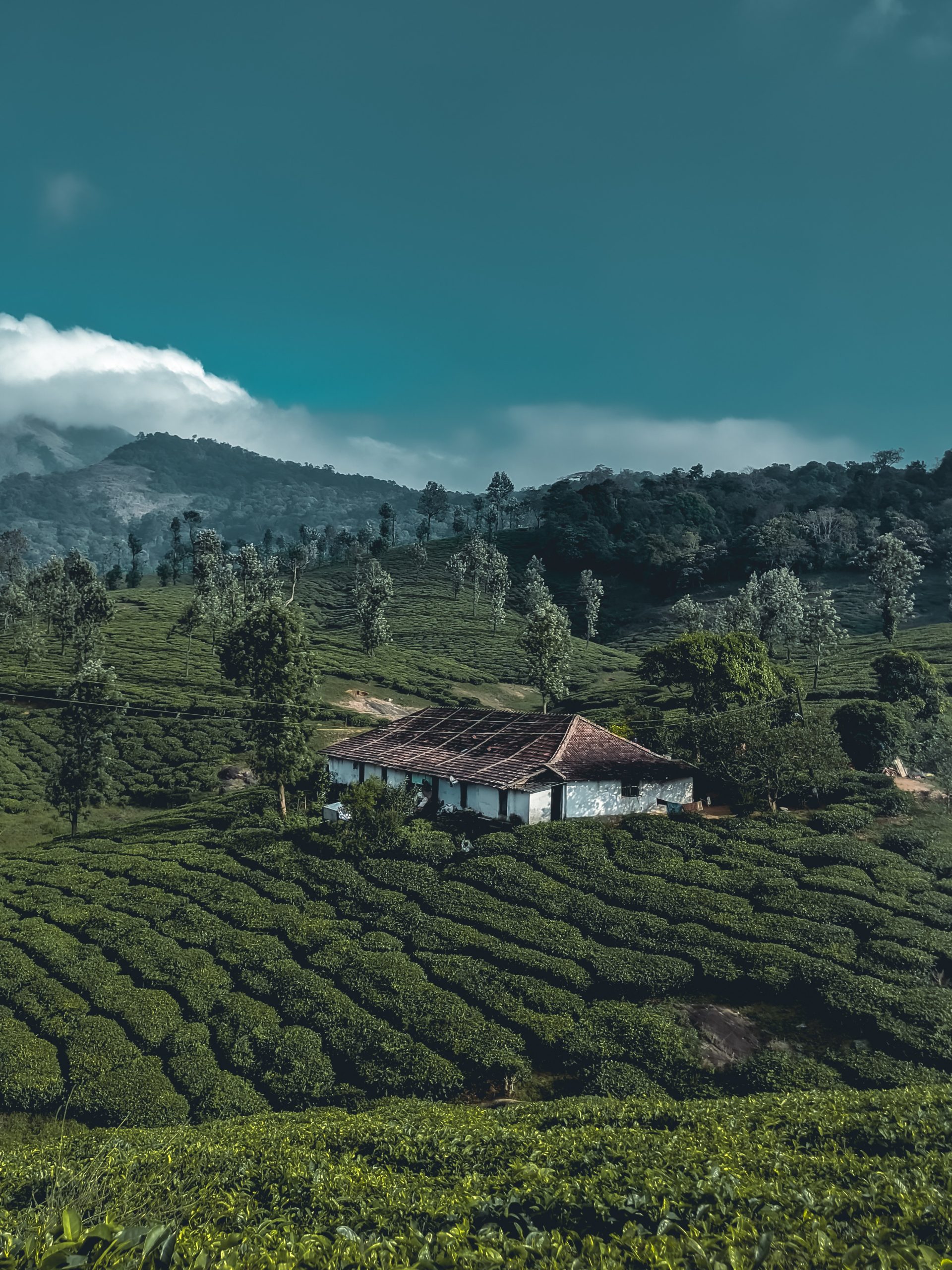 kerala-tour-packages-gokeys