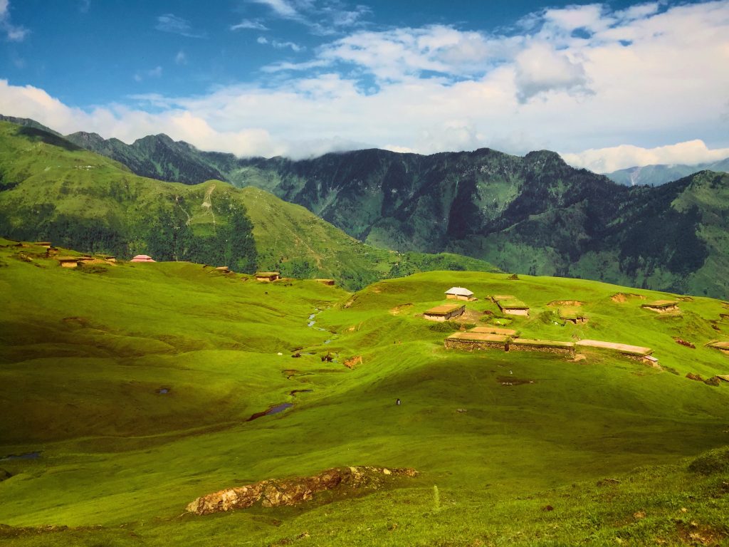 meadows-in-kashmir-valley