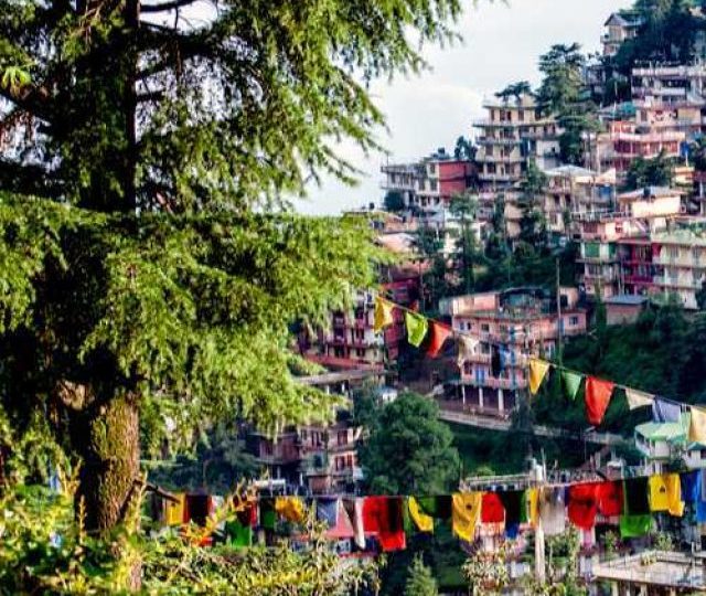 MCLEODGANJ