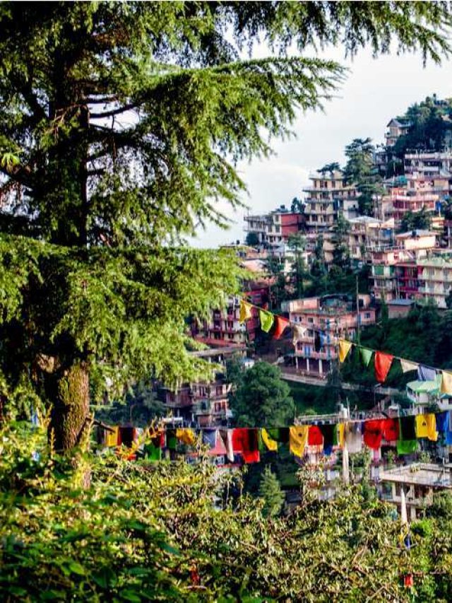 7 Best Places to Visit in Himachal Pradesh