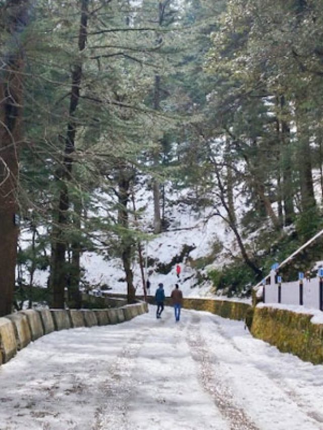 lal-tibba-scenic-point-mussoorie-tourism-holidays-closed-on-timings