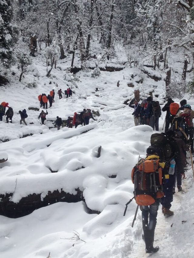 Kedarkantha Trek