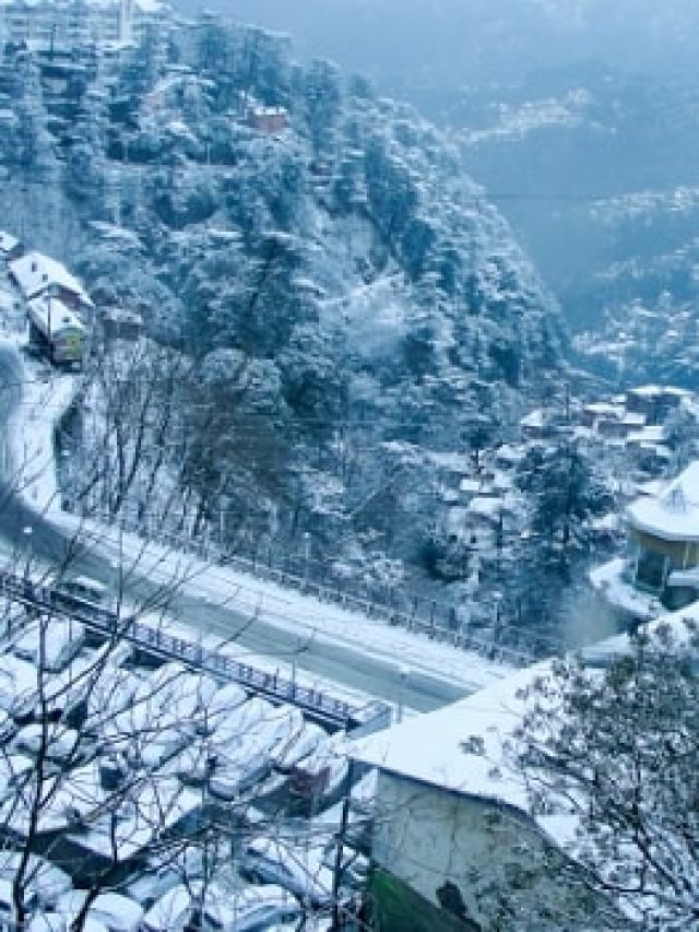 Shimla tour