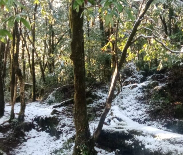 WhatsApp Image 2024-03-04 at 09.02.35