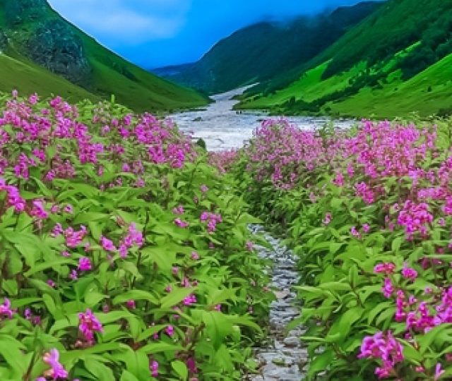 img-Valley-of-flowers-trek-Bikat-Adventures