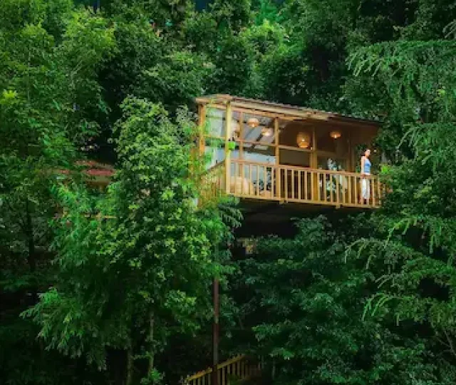 e03d9866-9c0c-4dae-8355-26ae6ff879a9