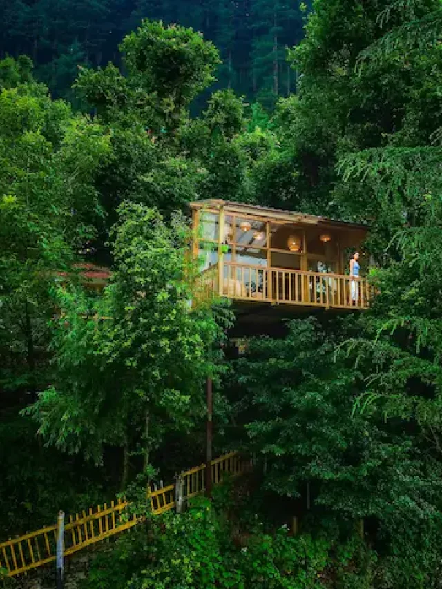 Book Now Manali Tour Package with Gokeys Haridwar