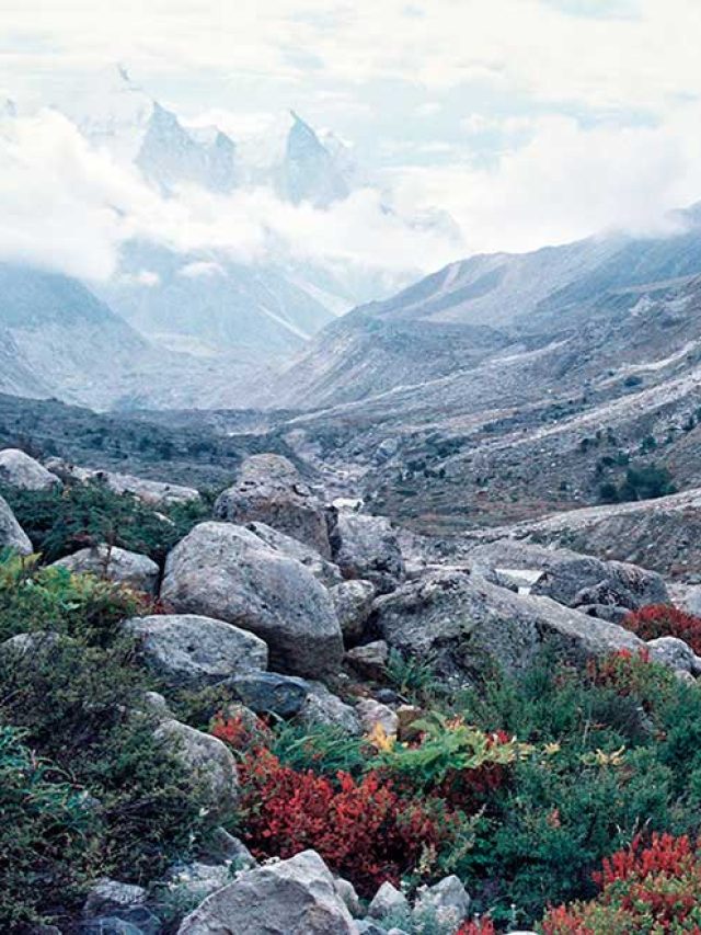 Book Now Kedarnath and Vasuki Tal Trek with Gokeys