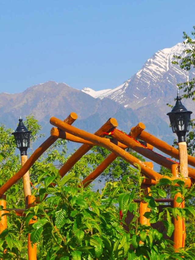 Book Now Auli Tour Package