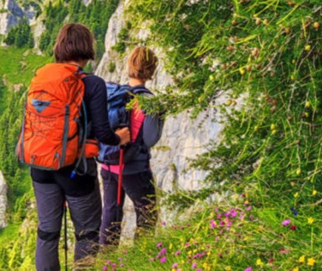 Valley-OF-Flowers-Trekking-1024x496