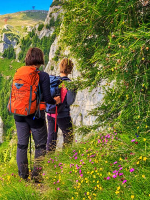 Book Now Valley of Flower Tour Package with Gokeys Haridwar