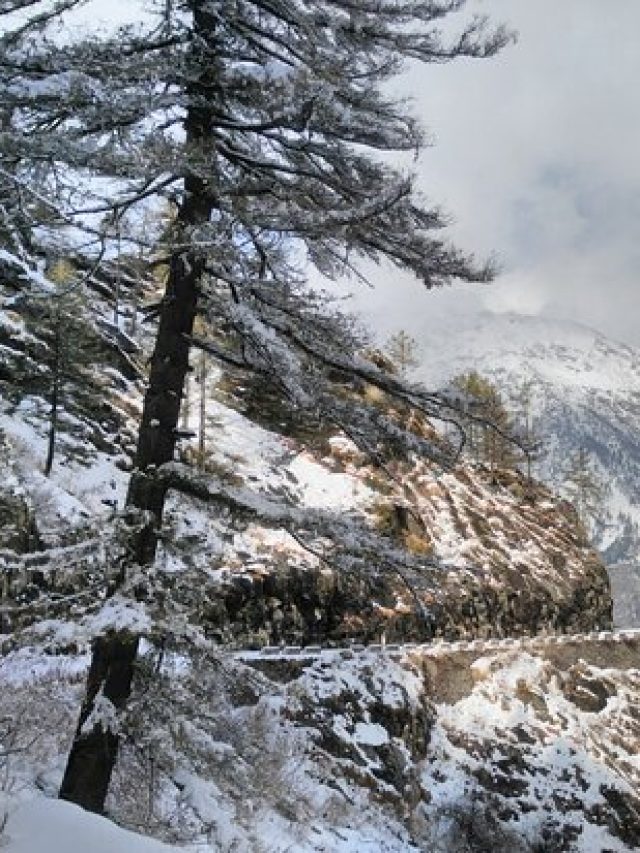 Explore Harsil Valley Tour